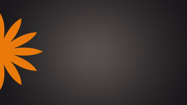 Black orange sunflower white black free wallpaper for desktop - medium preview image