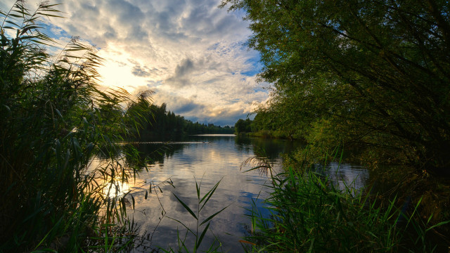 River trees clouds bushes nature free wallpaper for desktop - medium preview image