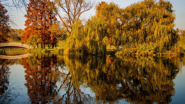 River bridge trees autumn impressionism free wallpaper for desktop - medium preview image