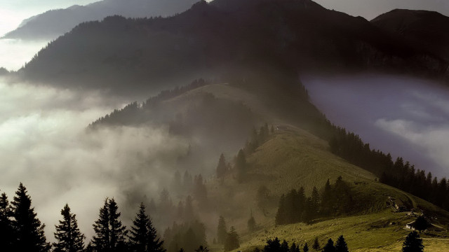 Mountain forest fog clouds lake free wallpaper for desktop - medium preview image