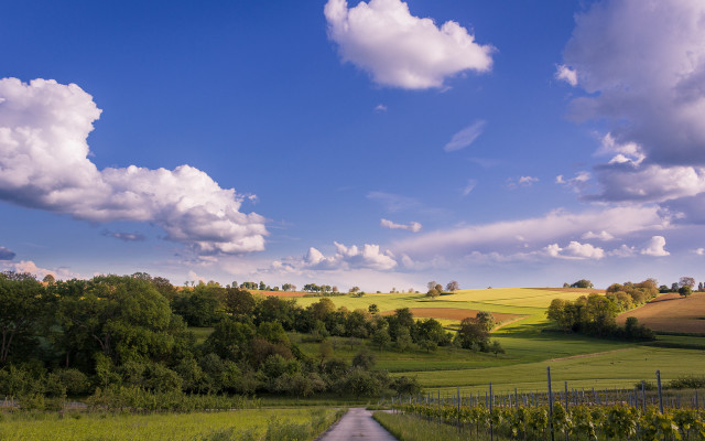 Road fence trees clouds sky free wallpaper for desktop - medium preview image