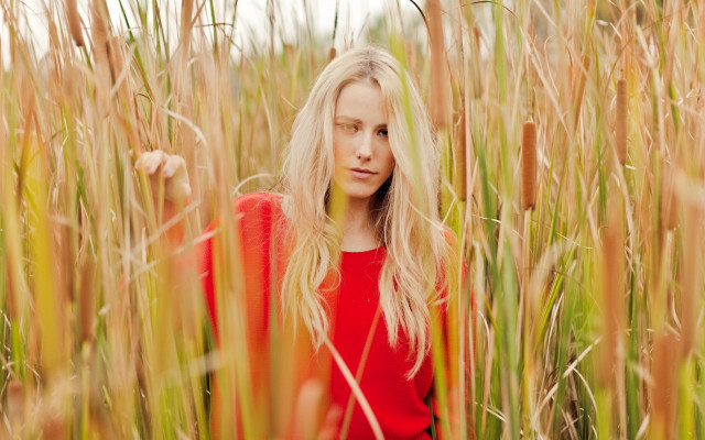 Woman red shirt tall grass free wallpaper for desktop - medium preview image