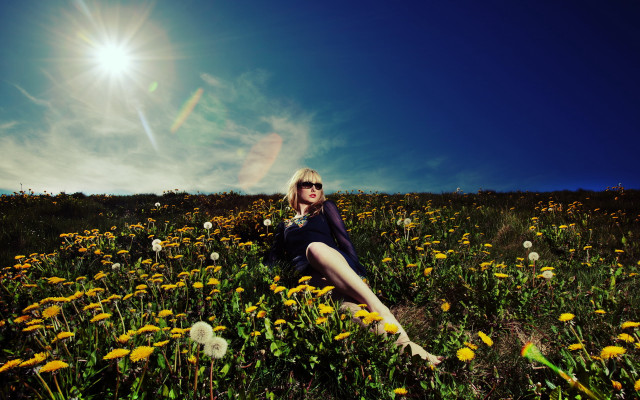 Woman sitting flower field sun free wallpaper for desktop - medium preview image