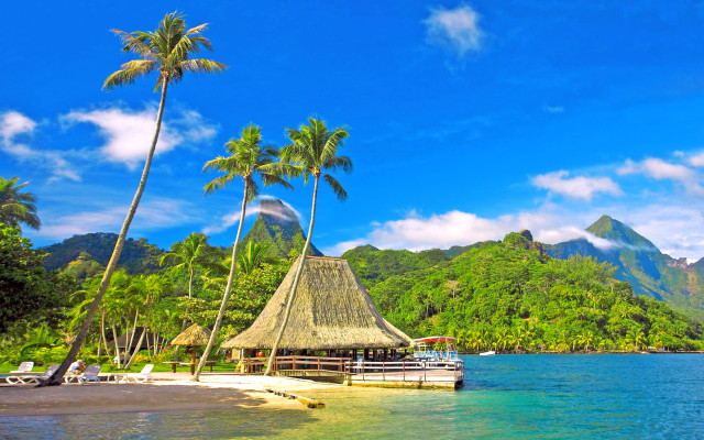 Tropical beach palm hut ocean free wallpaper for desktop - medium preview image