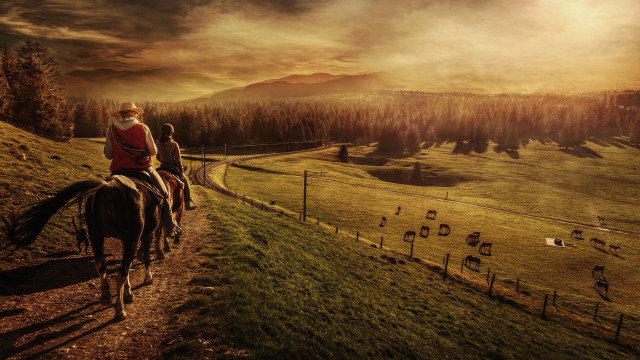 Woman riding horse dirt road free wallpaper for desktop - medium preview image