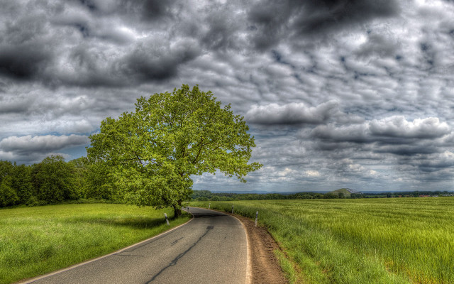 Stormy tree road field cloudy free wallpaper for desktop - medium preview image