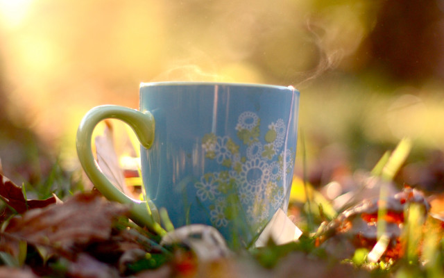 Blue coffee cup autumn bokeh free wallpaper for desktop - medium preview image