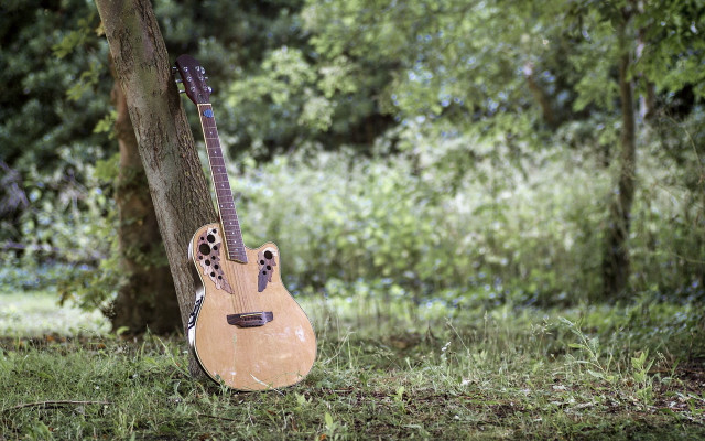 Guitar leopard print tree woods free wallpaper for desktop - medium preview image