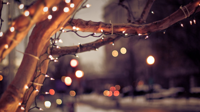 Glowing tree snow night bokeh free wallpaper for desktop - medium preview image