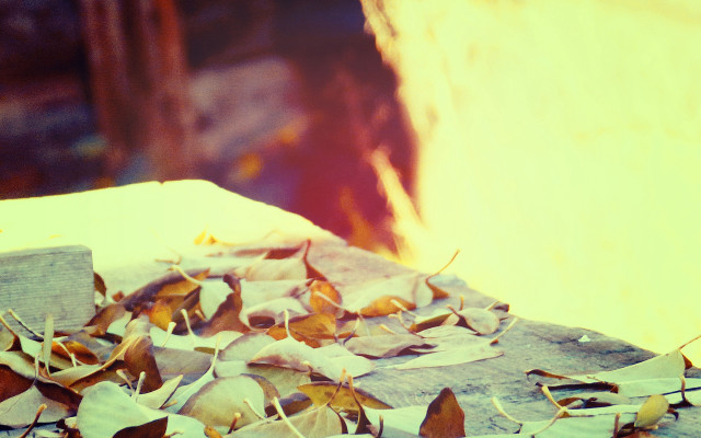 Leaves pile table firehydrant autumn free wallpaper for desktop - medium preview image