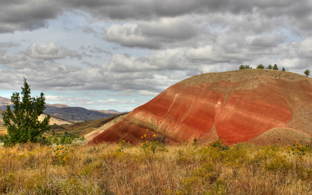 Red hill tree field landscape free wallpaper for desktop - medium preview image