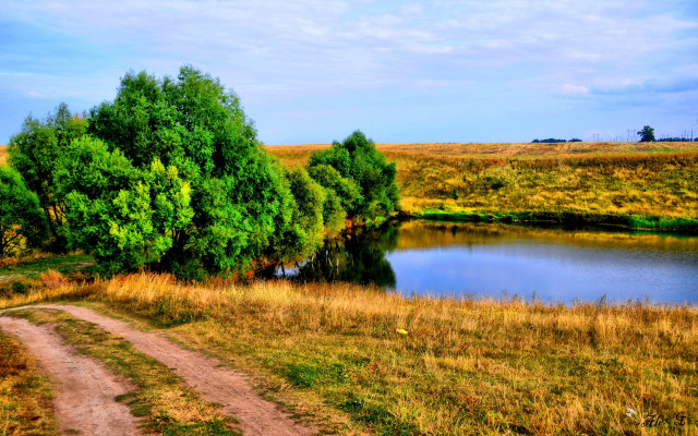 Dirt road lake trees autumn free wallpaper for desktop - medium preview image