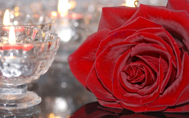 Red rose crystal bowl candles free wallpaper for desktop - medium preview image