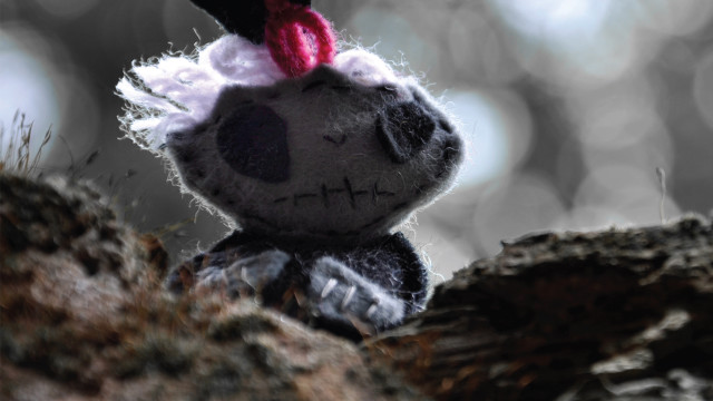 Stuffed animal red hat woods free wallpaper for desktop - medium preview image