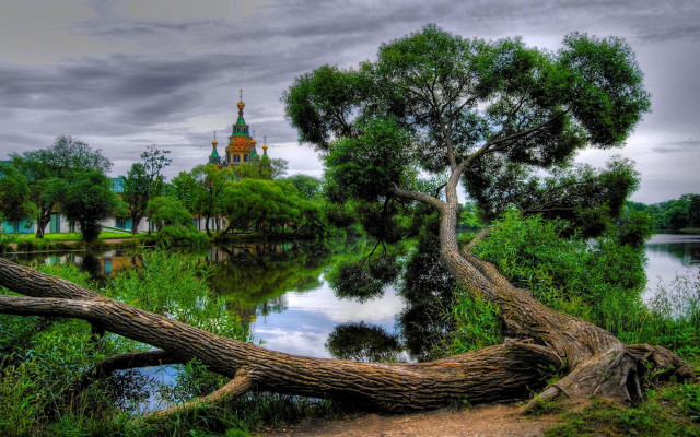 Leaning tree river church cloudy free wallpaper for desktop - medium preview image