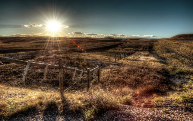 Fence field sunshine grass bushes free wallpaper for desktop - medium preview image