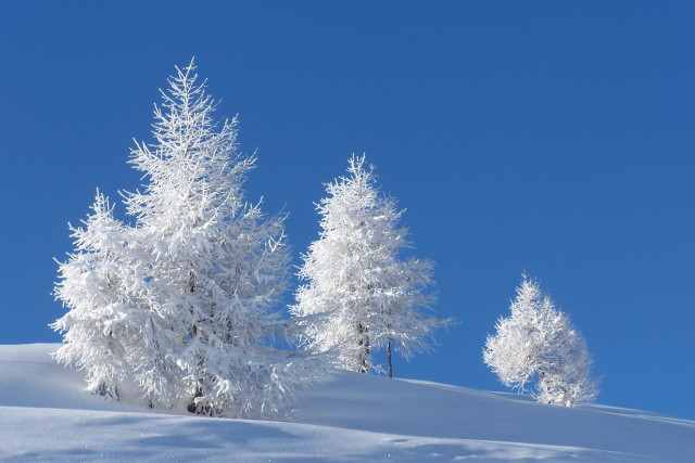 Snowy hill trees blue sky #2 free wallpaper for desktop - medium preview image