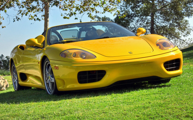 Yellow sports car green field free wallpaper for desktop - medium preview image