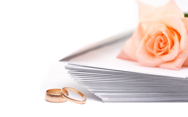 Wedding rings rose white background #2 free wallpaper for desktop - medium preview image