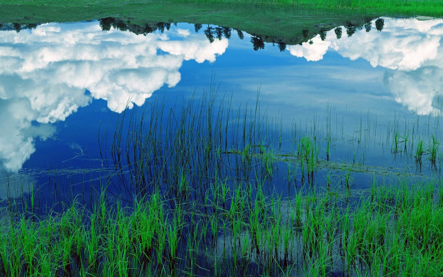 Large water surrounded by nature free wallpaper for desktop - medium preview image