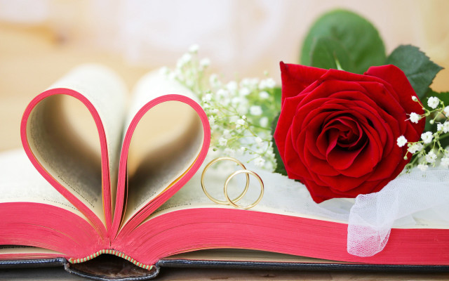 Romantic rose heart ring flower free wallpaper for desktop - medium preview image