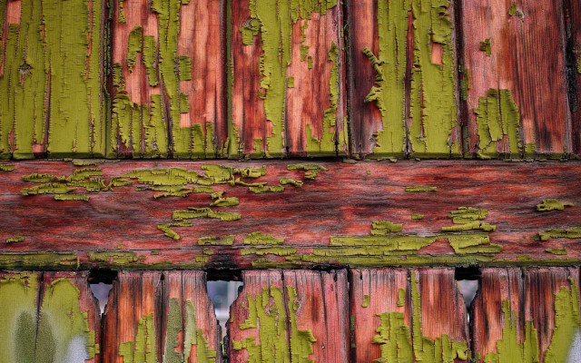 Wood green peeling decay urban free wallpaper for desktop - medium preview image