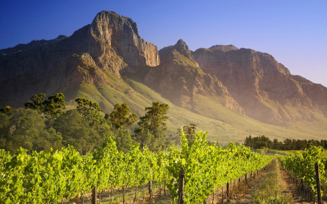 Vineyard mountains blue sky clouds free wallpaper for desktop - medium preview image