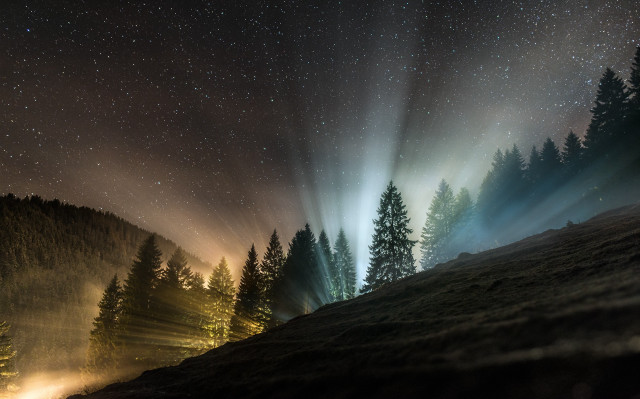 Night sky forest trees lights free wallpaper for desktop - medium preview image