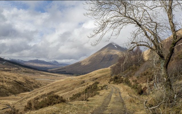 Dirt road valley mountain tree #2 free wallpaper for desktop - medium preview image
