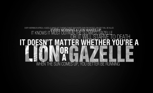 Lion gazelle quote black white free wallpaper for desktop - medium preview image