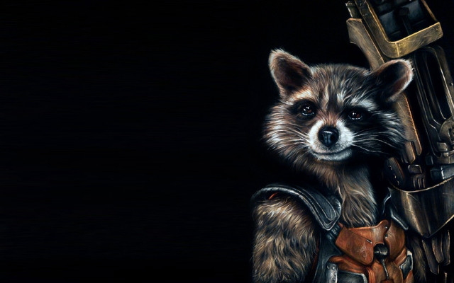 Raccoon leather outfit gun furry free wallpaper for desktop - medium preview image