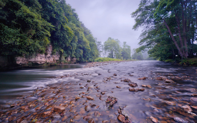 River forest rocks cloudy day free wallpaper for desktop - medium preview image