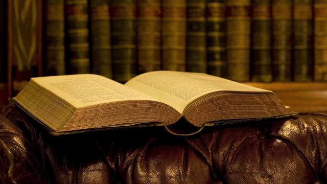 Book leather couch library bookshelf free wallpaper for desktop - medium preview image