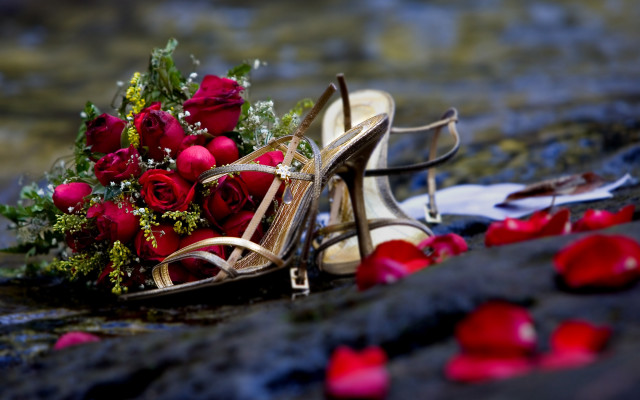 Romantic roses shoes bouquet bokeh free wallpaper for desktop - medium preview image