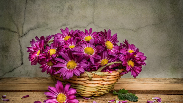 Purple flower basket stilllife watercolor free wallpaper for desktop - medium preview image