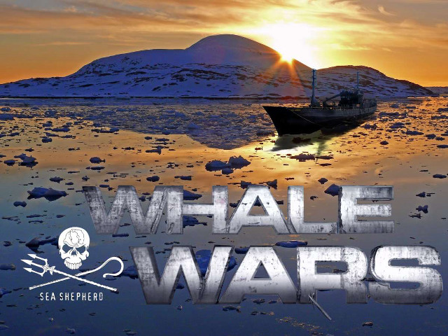 Boat mountain ice sunset whalewars free wallpaper for desktop - medium preview image
