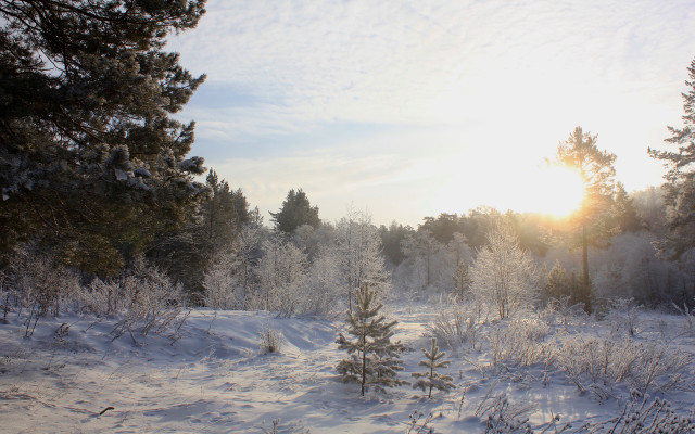 Snowy field trees sun clouds free wallpaper for desktop - medium preview image