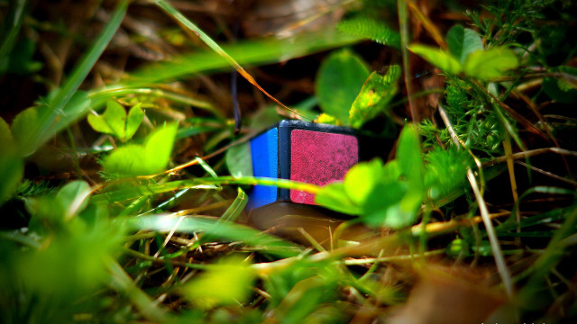 Toy block grass red blue free wallpaper for desktop - medium preview image