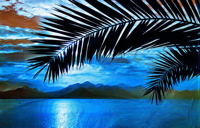 Palm tree water mountains beach free wallpaper for desktop - medium preview image
