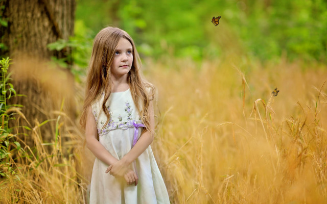 Girl butterfly field blonde dress free wallpaper for desktop - medium preview image