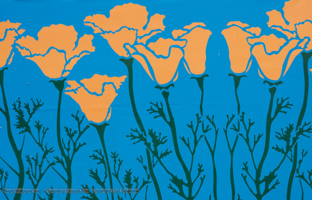 Flowers blue background orange green free wallpaper for desktop - medium preview image