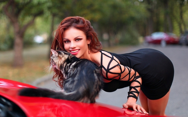 Woman blackdress redcar cat brownhair free wallpaper for desktop - medium preview image
