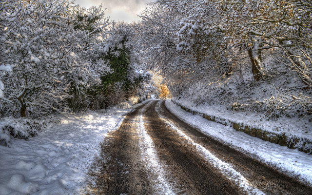 Snowy road trees bushes cloudy free wallpaper for desktop - medium preview image