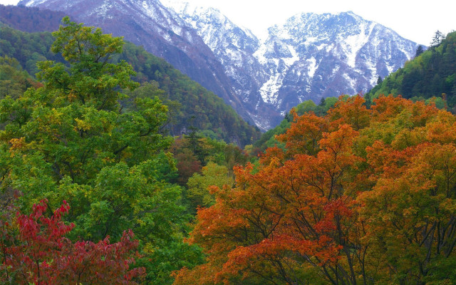Mountain range trees snow bench free wallpaper for desktop - medium preview image