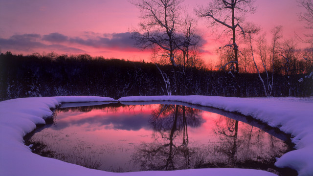 Pond snow trees sunset pink free wallpaper for desktop - medium preview image