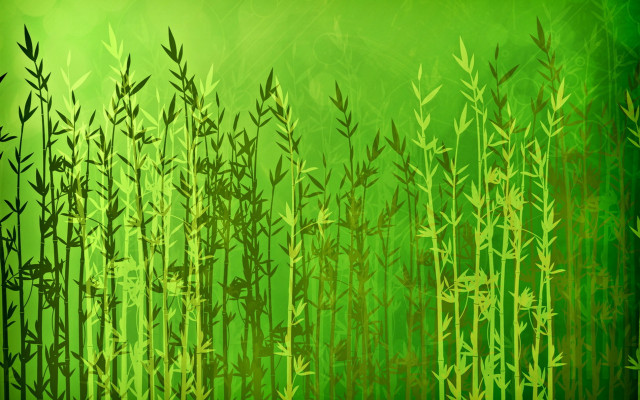 Bamboo forest green background matte free wallpaper for desktop - medium preview image