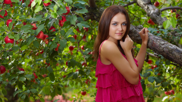 Pink dress woman apple tree free wallpaper for desktop - medium preview image