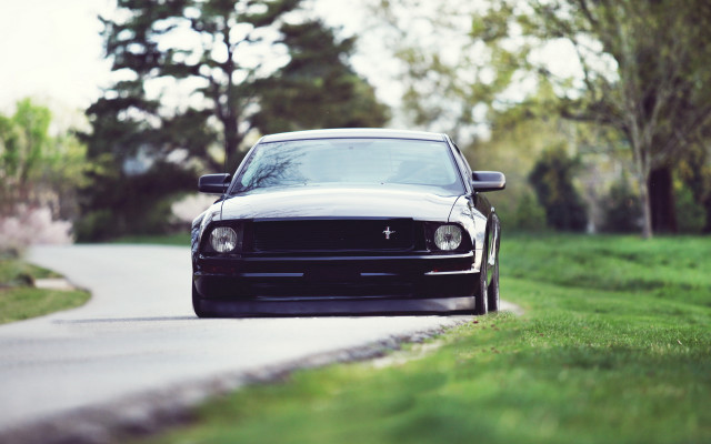 Black mustang road trees person free wallpaper for desktop - medium preview image