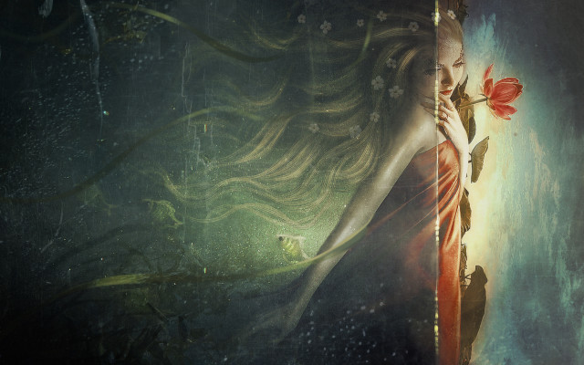 Longhair woman flower bird moon free wallpaper for desktop - medium preview image