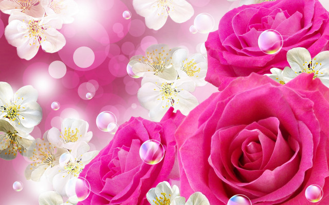 Pink rose bubbles white flower free wallpaper for desktop - medium preview image